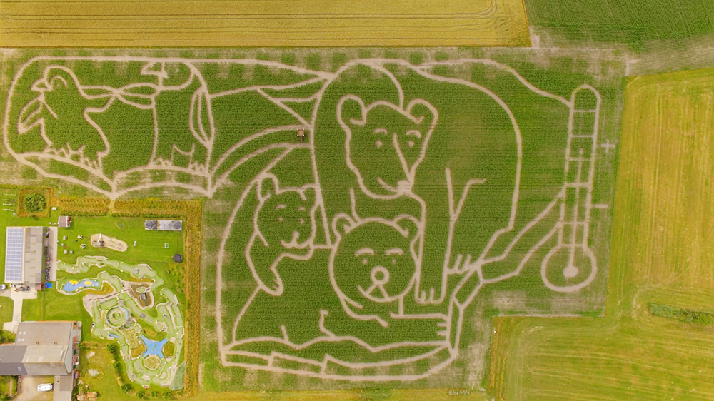 Pinguine und Eisbären im Föhrer Maislabyrinth